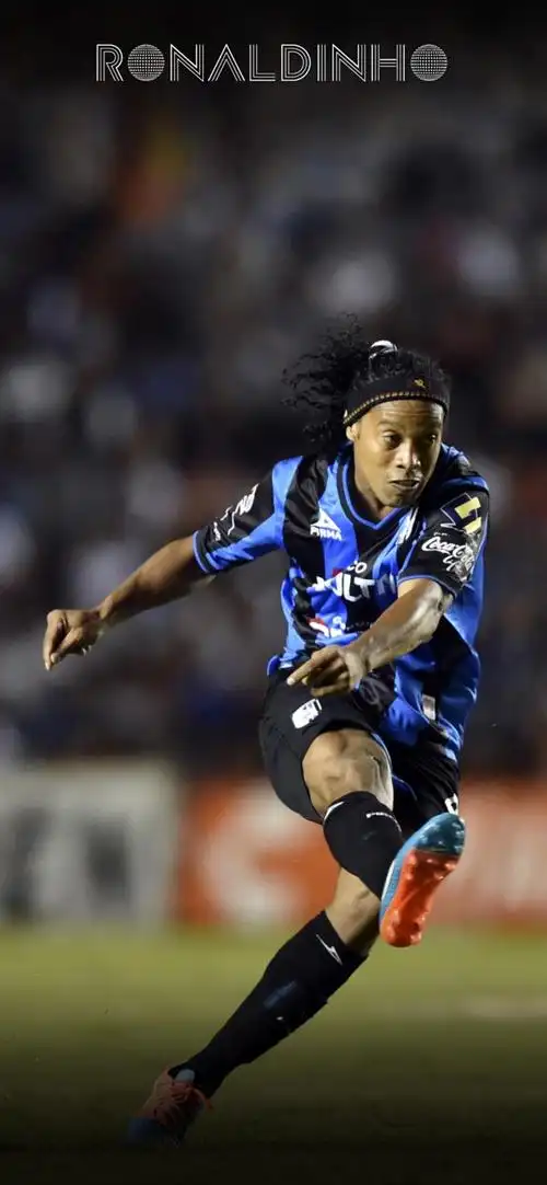 将决定他们 将决定他们