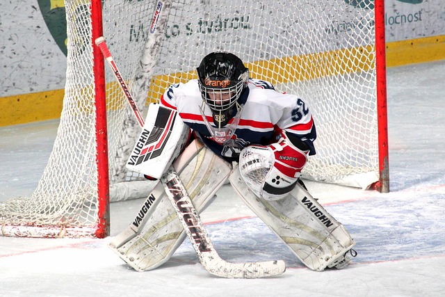 许能带来新 许能带来新